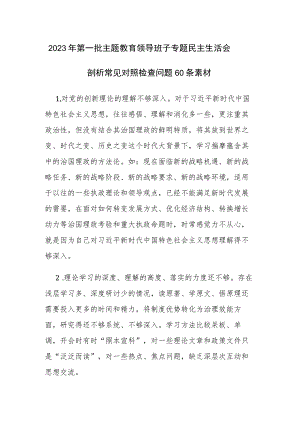2023年第一批主题教育领导班子专题民主生活会剖析常见对照检查问题60条素材.docx