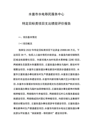水富市水电移民服务中心特定目标类项目支出绩效评价报告.docx
