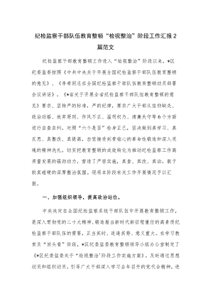 纪检监察干部队伍教育整顿“检视整治”阶段工作汇报2篇范文.docx