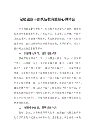 2023纪检监察干部队伍教育整顿心得体会研讨发言稿(5篇).docx