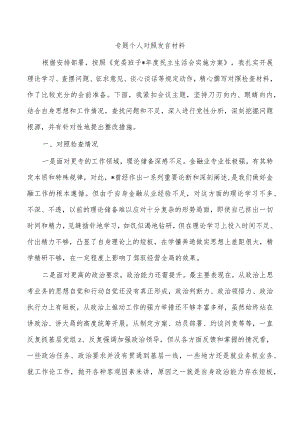 专题个人对照发言材料.docx