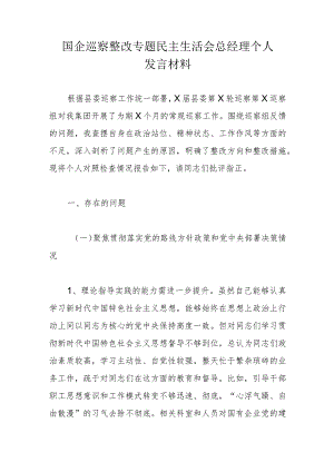 国企巡察整改专题民主生活会总经理个人发言材料.docx