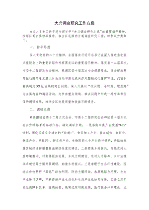 大兴调查研究工作方案一.docx