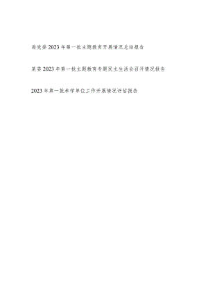 局党委2023年第一批主题教育开展召开情况总结报告3篇（含专题民主生活会）.docx