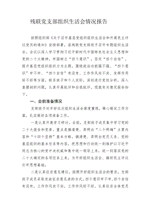 党支部组织生活会情况报告.docx