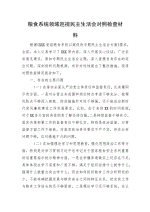 粮食系统领域巡视民主生活会对照检查材料.docx