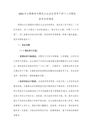 2023年主题教育专题民主生活会领导干部个人对照检查发言供借鉴.docx