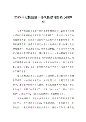 2023纪检干部队伍教育整顿心得体会交流发言提纲(5篇).docx