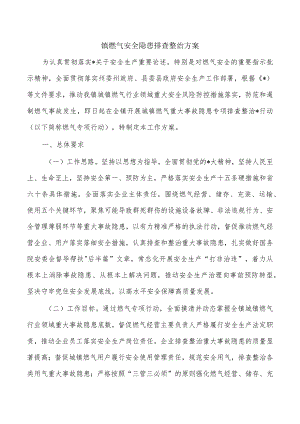 镇燃气安全隐患排查整治方案.docx