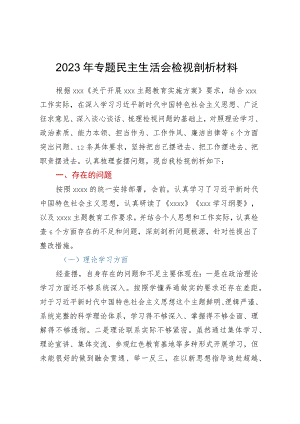 2023年专题民主生活会检视剖析材料.docx