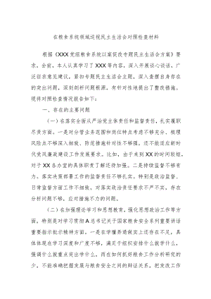 在粮食系统领域巡视民主生活会对照检查材料.docx