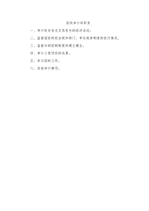 医院审计科职责.docx