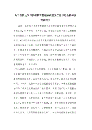 关于在传达学习贯彻教育整顿检视整治工作推进会精神发言稿范文.docx