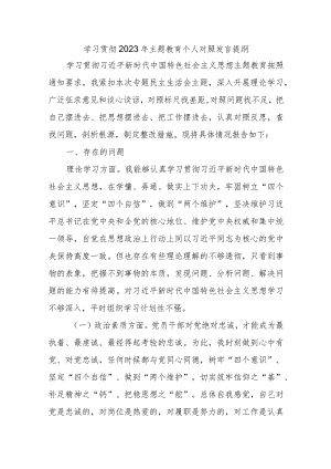 学习贯彻2023年主题教育个人对照发言提纲.docx