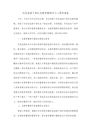 纪检监察干部队伍教育整顿学习心得供借鉴.docx