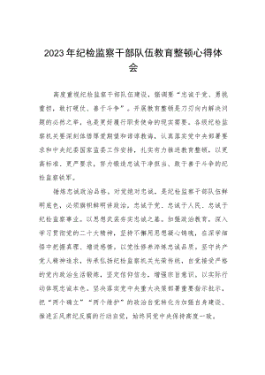 2023纪检监察干部队伍教育整顿活动心得体会发言材料(5篇).docx