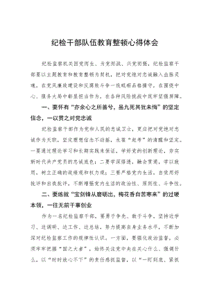 纪检监察干部队伍教育整顿心得体会交流发言稿(五篇).docx