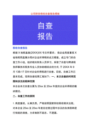 公司财务税收自查报告模板.docx