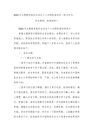2023年主题教育组织生活会个人对照检查材料（担当作为、发言提纲检视剖析）.docx