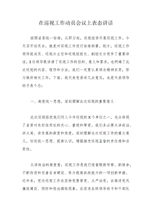 在巡视工作动员会议上表态讲话.docx