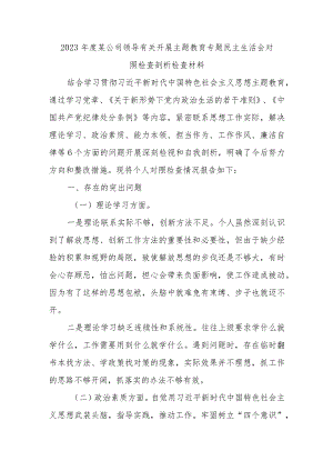 2023年度某公司领导有关开展主题教育专题民主生活会对照检查剖析检查材料.docx