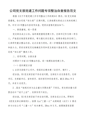 公司党支部党建工作问题整治自查报告集团企业整改总结汇报.docx
