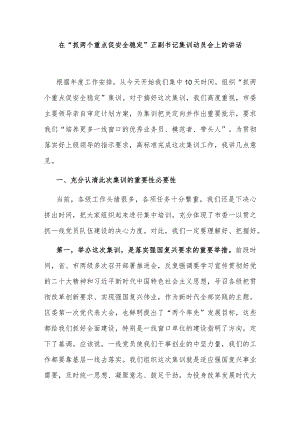 在“抓两个重点促安全稳定”正副书记集训动员会上的讲话.docx