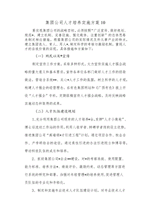 集团公司人才培养实施方案10.docx