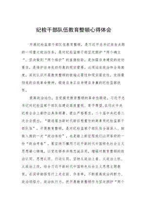 (五篇)纪检干部队伍教育整顿学习心得体会.docx
