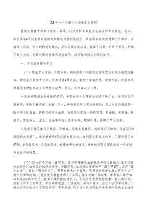 23年六个方面个人检查发言提纲.docx
