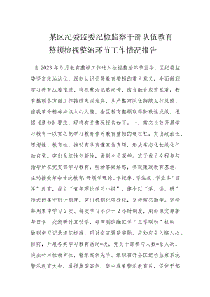 某区纪委监委纪检监察干部队伍教育整顿检视整治环节工作情况报告.docx