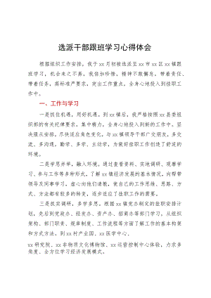 选派干部跟班学习心得体会.docx