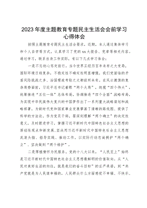 2023年度主题教育专题民主生活会会前学习研讨心得.docx