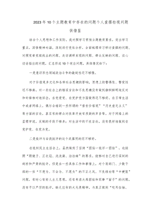 2023年10个主题教育中存在的问题个人查摆检视问题供借鉴.docx