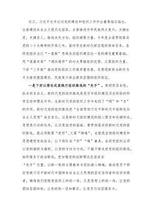 书记在组织工作研讨会上的发言.docx
