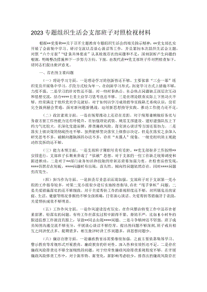 2023专题组织生活会支部班子对照检视材料.docx