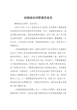 纪检组长任职表态发言.docx