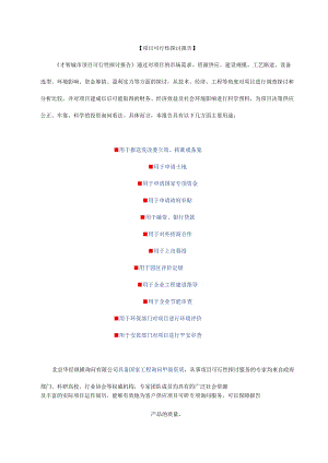 智慧城市项目可行性.docx