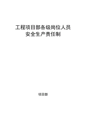 项目安全生产责任制.docx