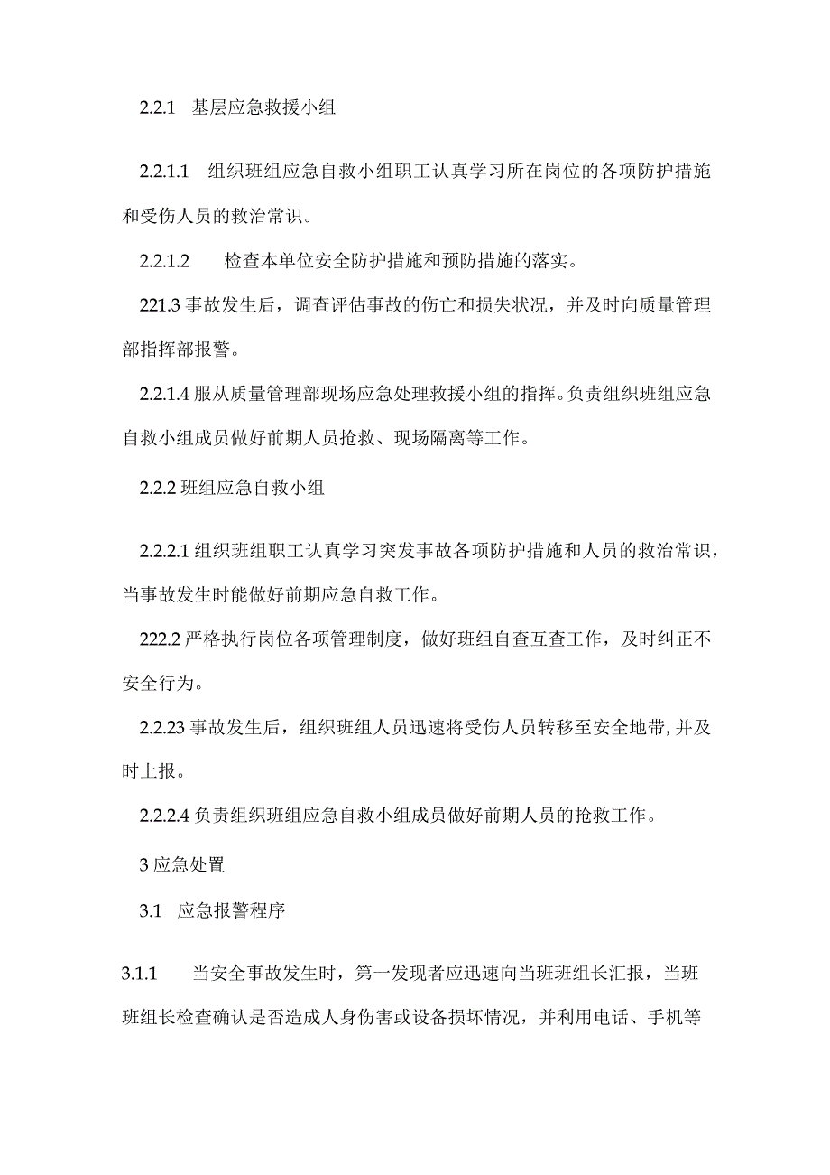 验质现场事故处置方案模板范本.docx_第2页