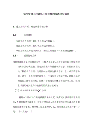 排水整治工程确保工程质量的技术组织措施.docx