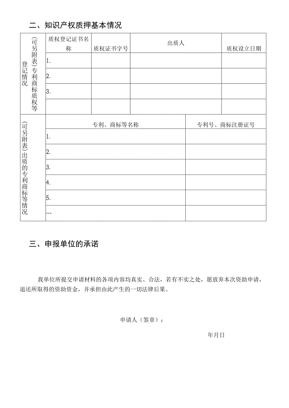知识产权质押贷款风险资助申请表.docx_第3页