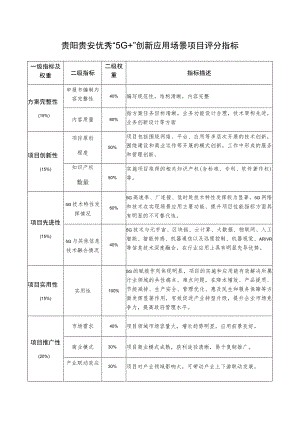 贵阳贵安优秀“5G ”创新应用场景项目评分指标.docx