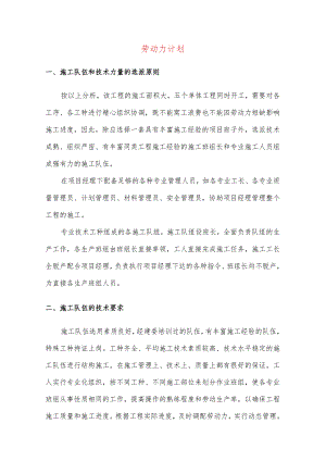 劳动力计划.docx