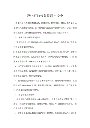 液化石油气餐饮用户安全模板范本.docx