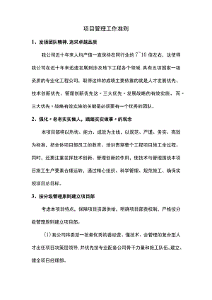 项目管理工作准则.docx