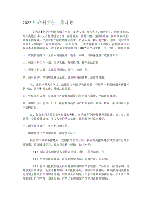 2022年产科主任工作计划.docx