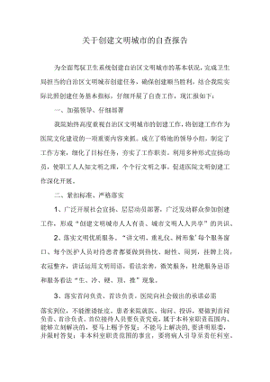 文明城市自查报告.docx