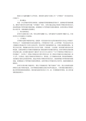 智慧城市项目建设工作汇报.docx