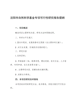 沈阳市自然科学基金专项可行性研究报告提纲.docx